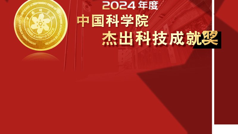 科技服务合同主体资格审查：关键要素与流程解析